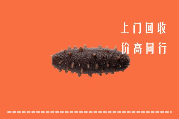 高价求购：延安市黄龙县回收海参